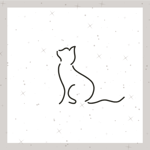 Drømmetydning: Katte
