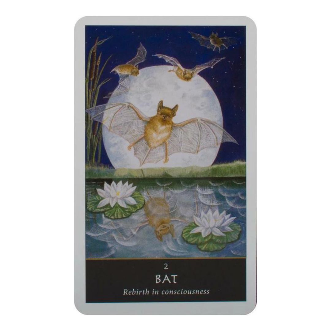 Kort från The Witches Oracle med en fladdermus som flyger framför en stor måne och blommor i en sjö.
