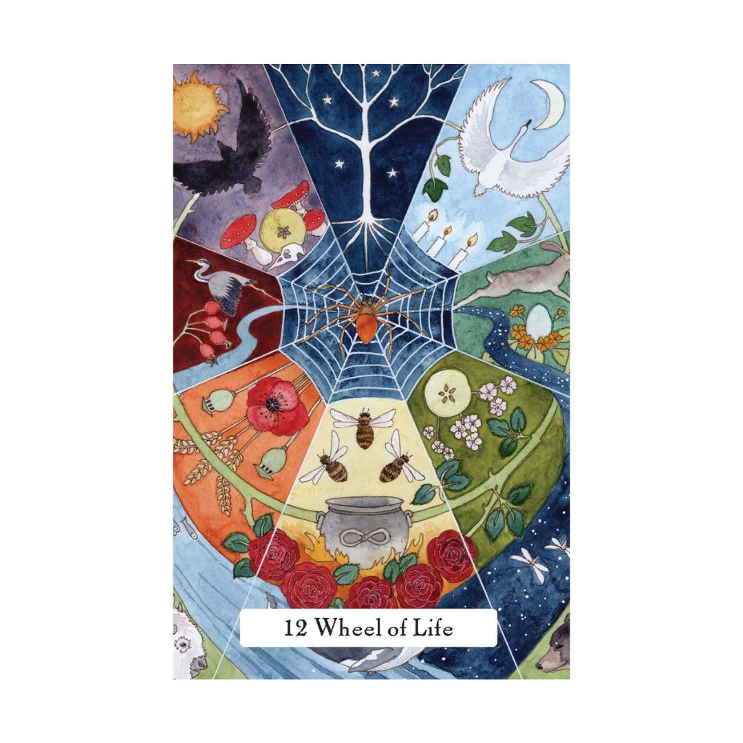 Illustration af tarotkortet 12 Wheel of Life med en farverig cirkel opdelt i sektioner der viser symboler fra naturen som blomster, dyr og elementer der repræsenterer livets cyklus i en smuk kunstnerisk stil.