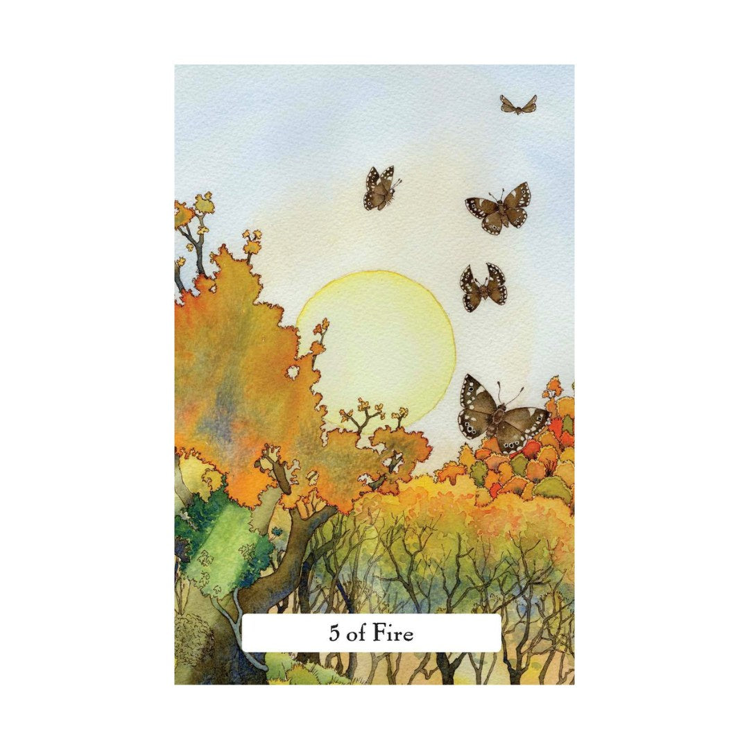Illustration af kortet 5 of Fire fra Witches Wisdom Tarot med en solopgang i baggrunden og sommerfugle der flyver over farverige træer i efterårsfarver