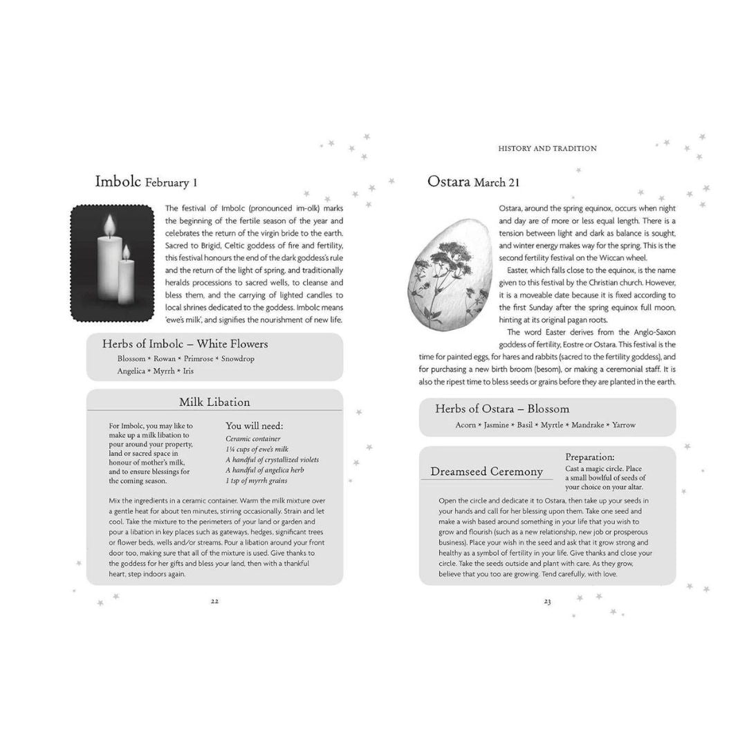 Bild av orakelkortet The Witches Oracle med information om Imbolc och Ostara samt preliminära instruktioner för ritualer och örtanvändning.