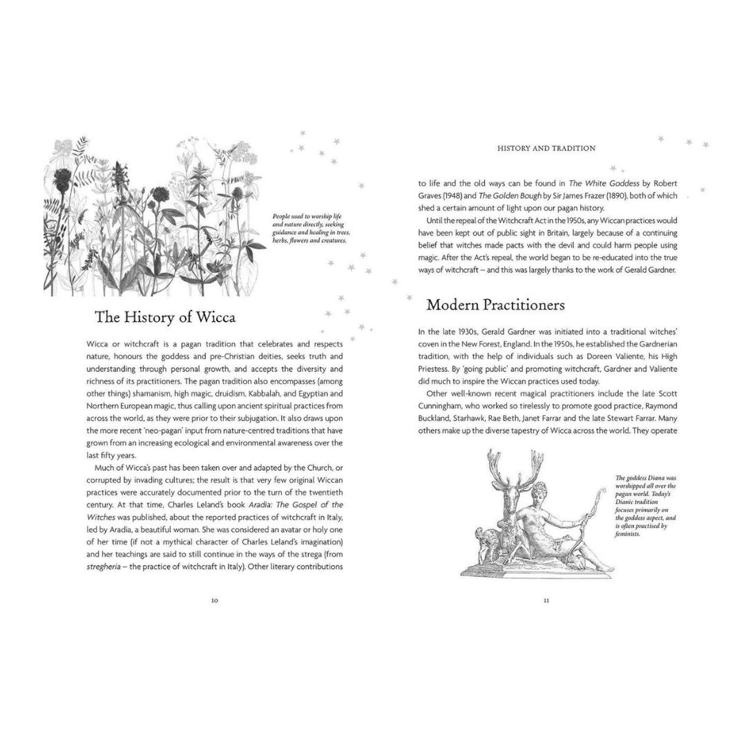 Omslaget till The Witches Oracle med text och illustrationer av växter och blommor som representerar Wicca och dess historia.