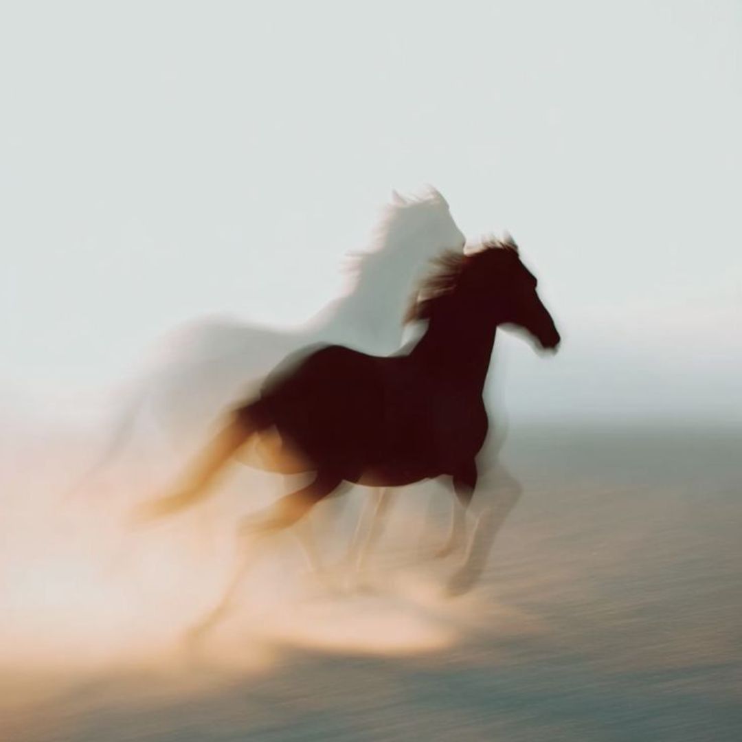 Ildhestens år - 2026