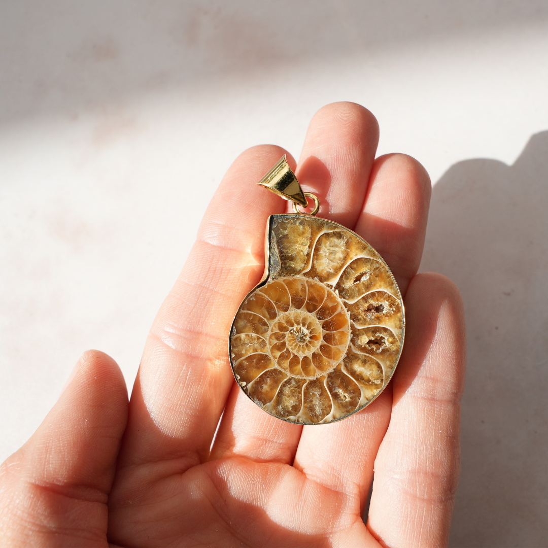 Fossil ammonite pendant