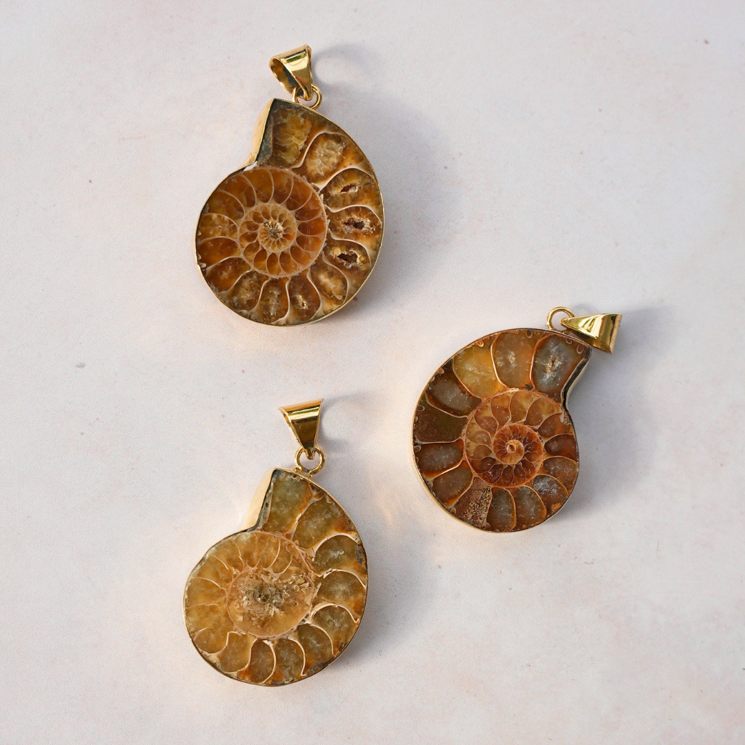 Fossil ammonite pendant